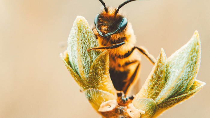 Éco-habitat : Comment construire une maison pas chère à caractère écologique ?