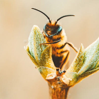 Éco-habitat : Comment construire une maison pas chère à caractère écologique ?