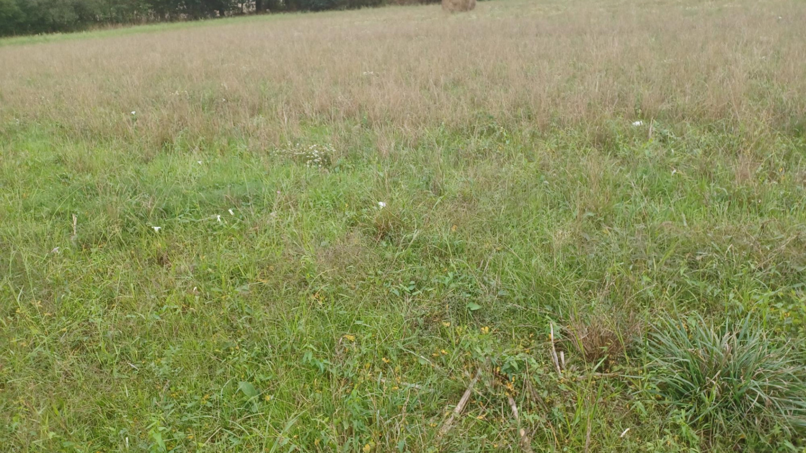 Terrain constructible de 410m2 à Boisgervilly
