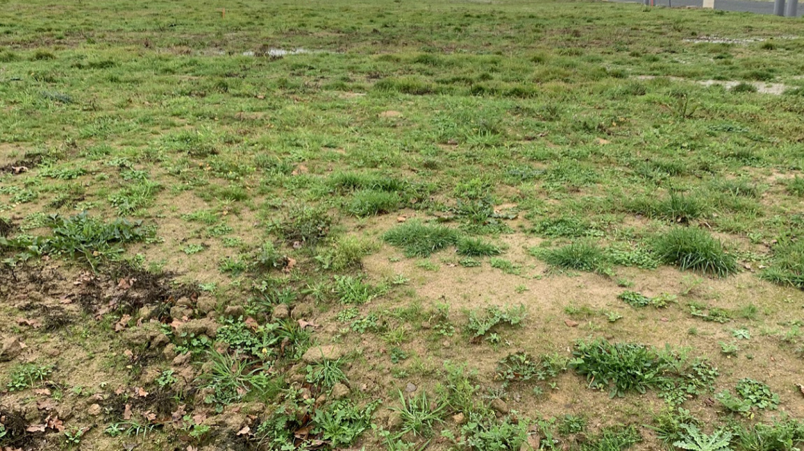 Terrain constructible de 460m2 à Blanquefort
