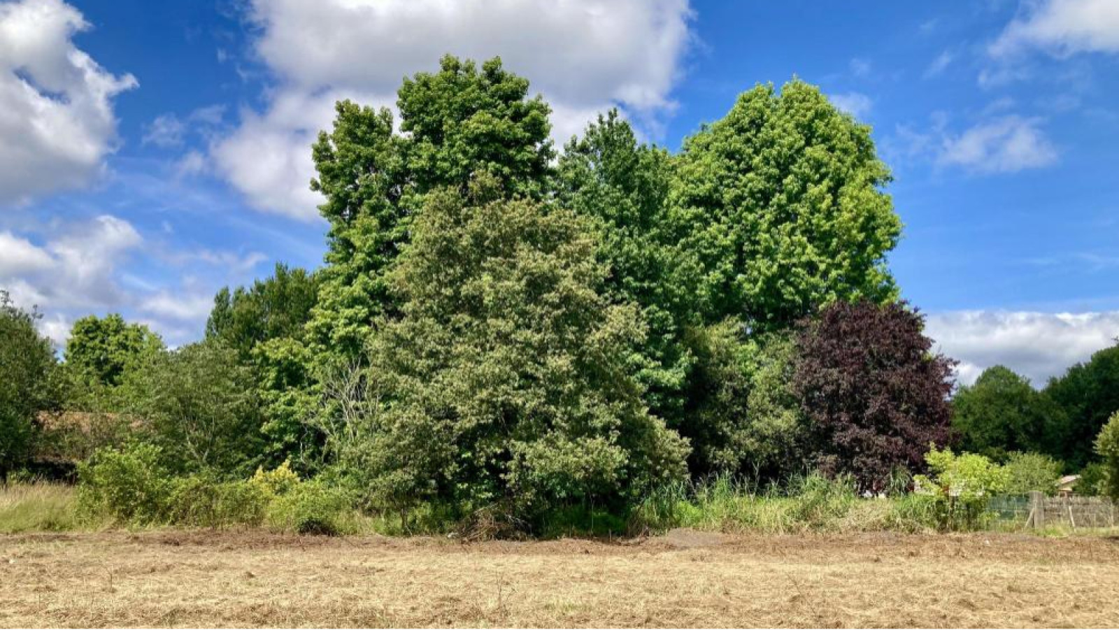 Terrain constructible de 430m2 à Hourtin