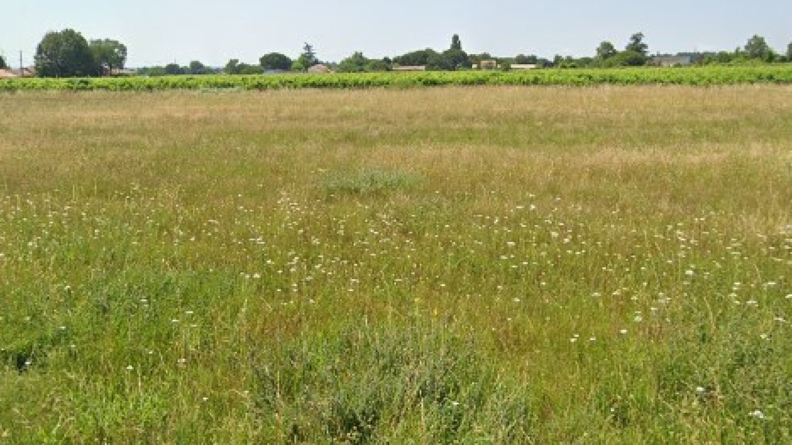 Terrain constructible de 823m2 à Cissac-Médoc