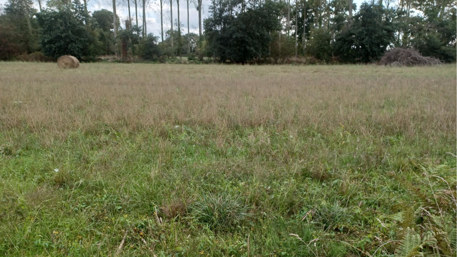 Terrain constructible de 380m2 à Boisgervilly