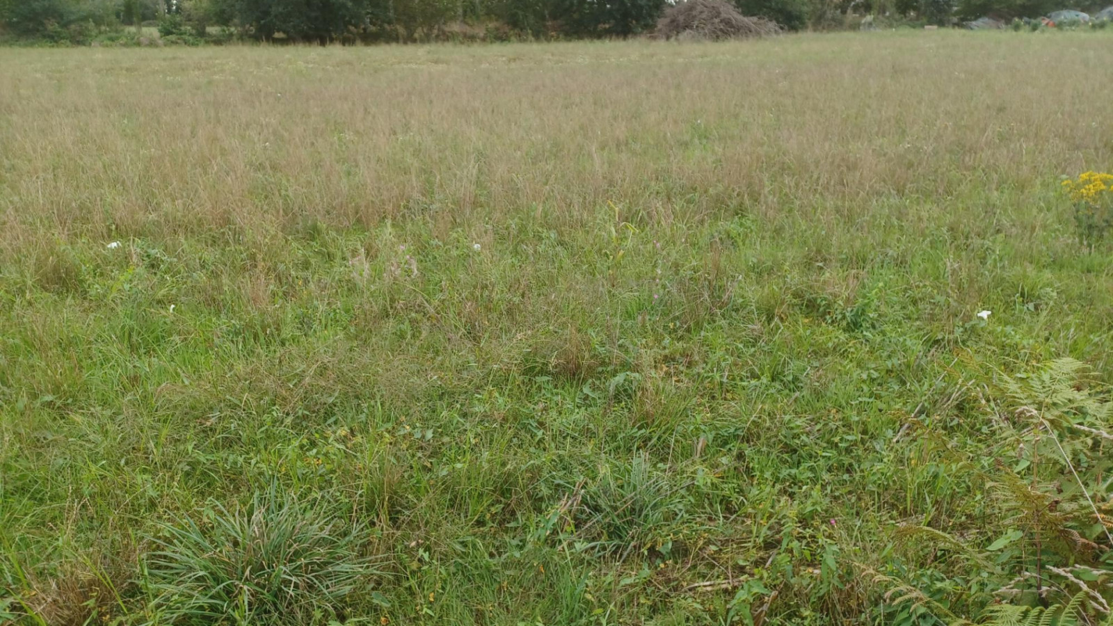 Terrain constructible de 381m2 à Mernel