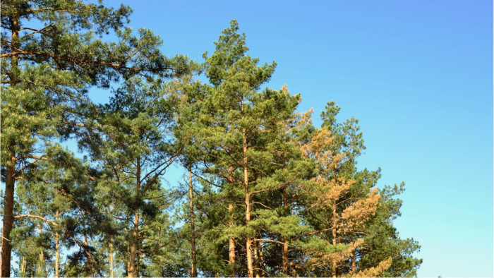 S'installer dans les Landes : Les villes les plus attractives