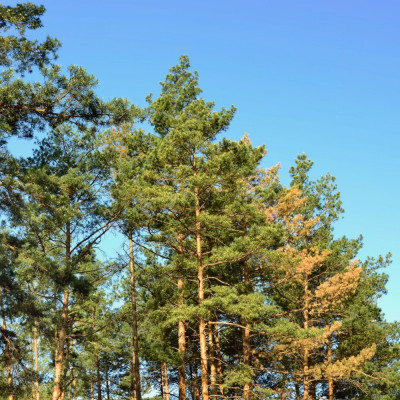 S'installer dans les Landes : Les villes les plus attractives