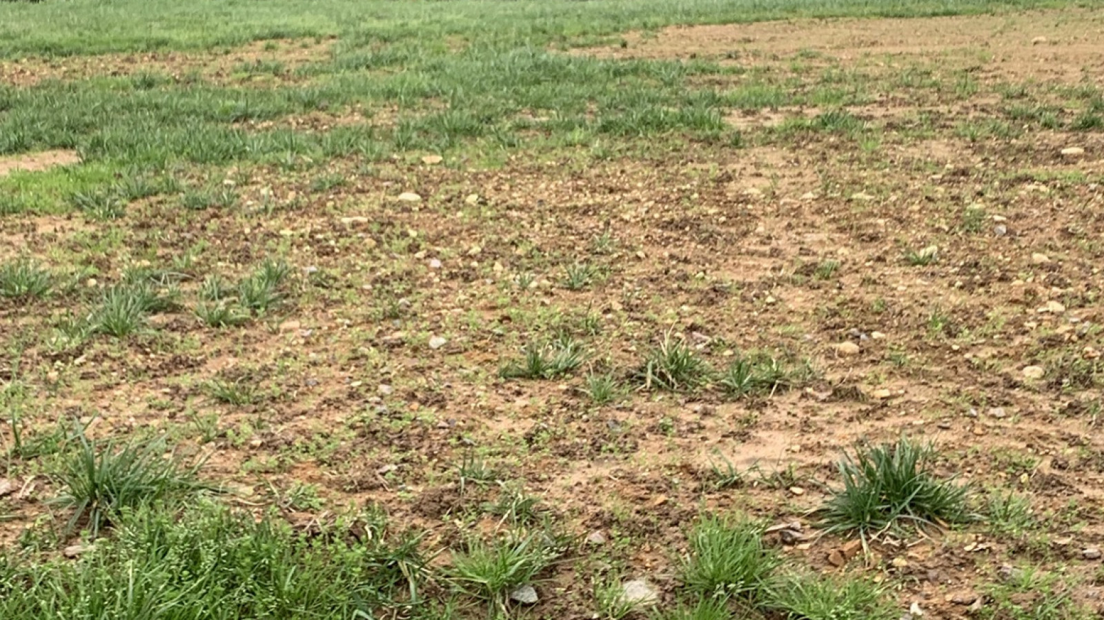 Terrain constructible de 456m2 à Montussan