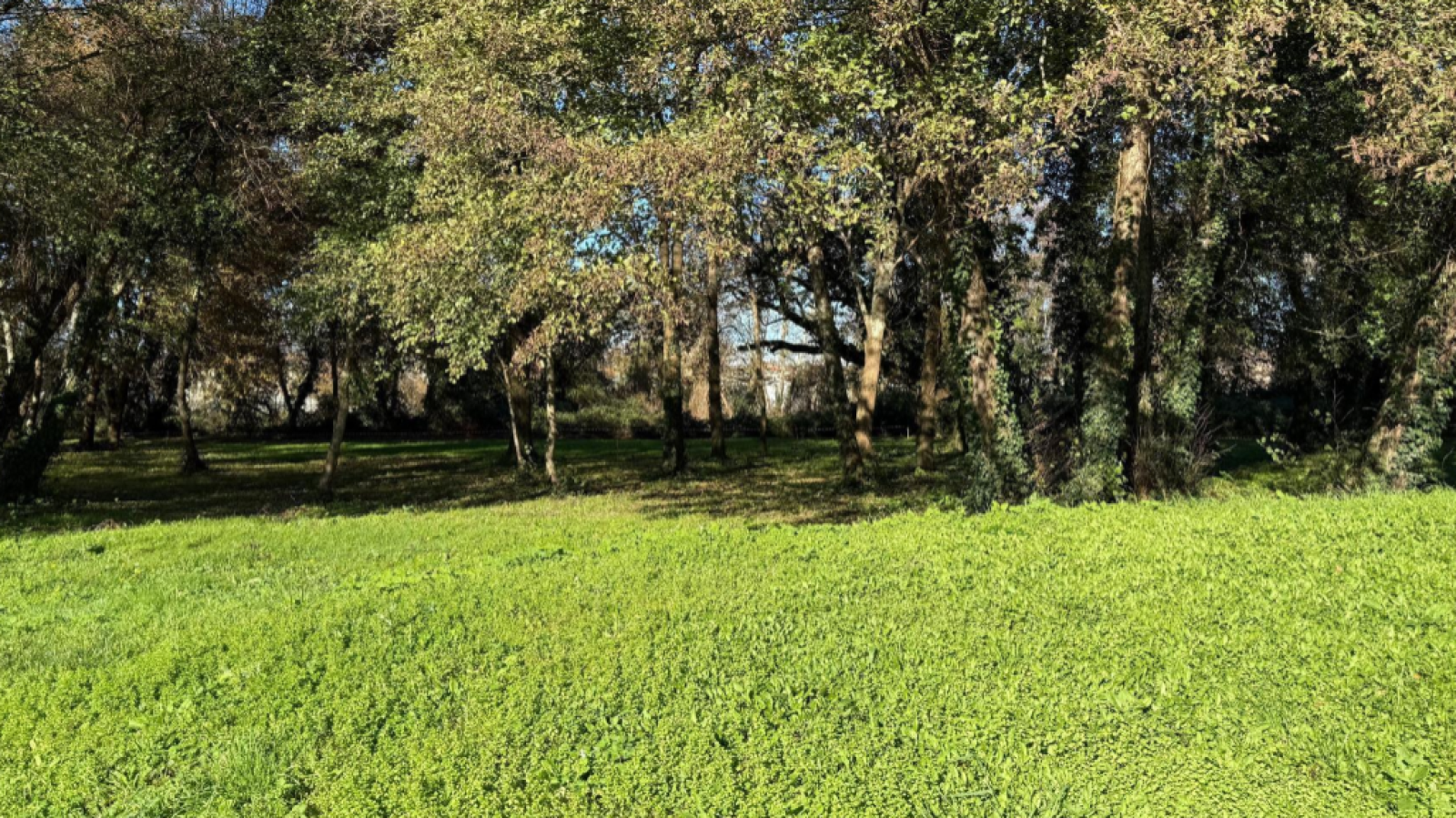 Terrain constructible de 900m2 à Cestas