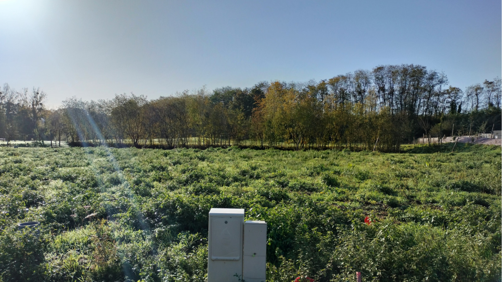 Terrain constructible de 405m2 à Boisgervilly