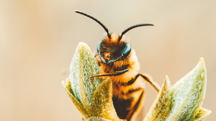 Comprendre la RE2025 : vers des maisons durables !