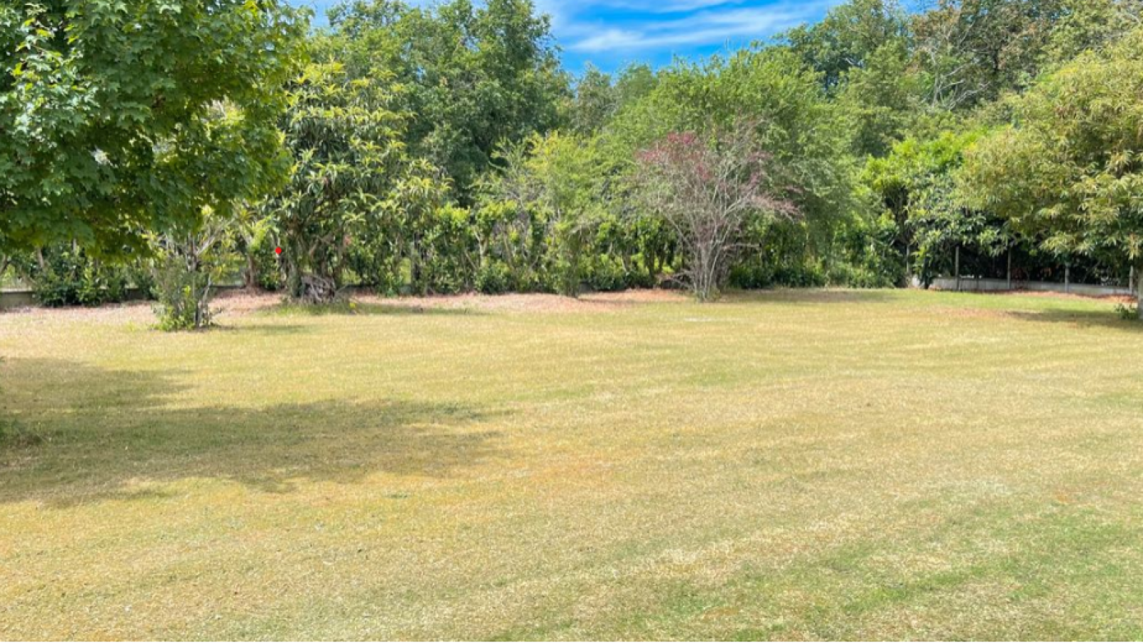 Terrain constructible de 800m2 à Portets