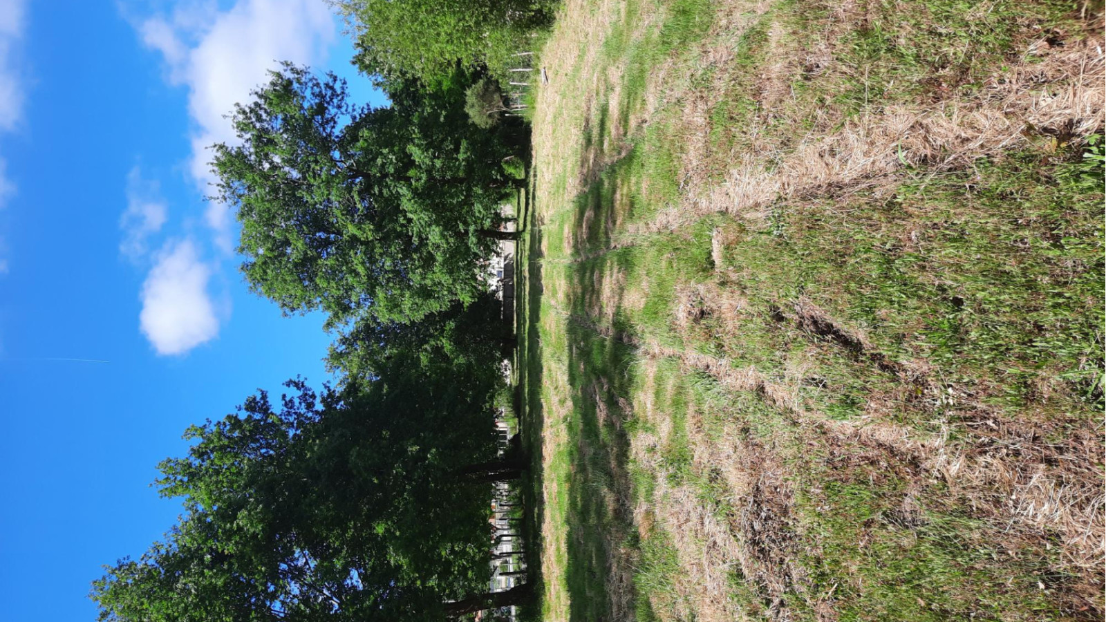 Terrain constructible de 600m2 à Gradignan