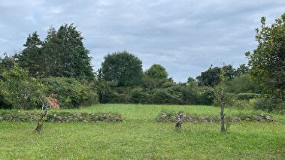 Capture d’écran 2024-10-21 103817.jpg