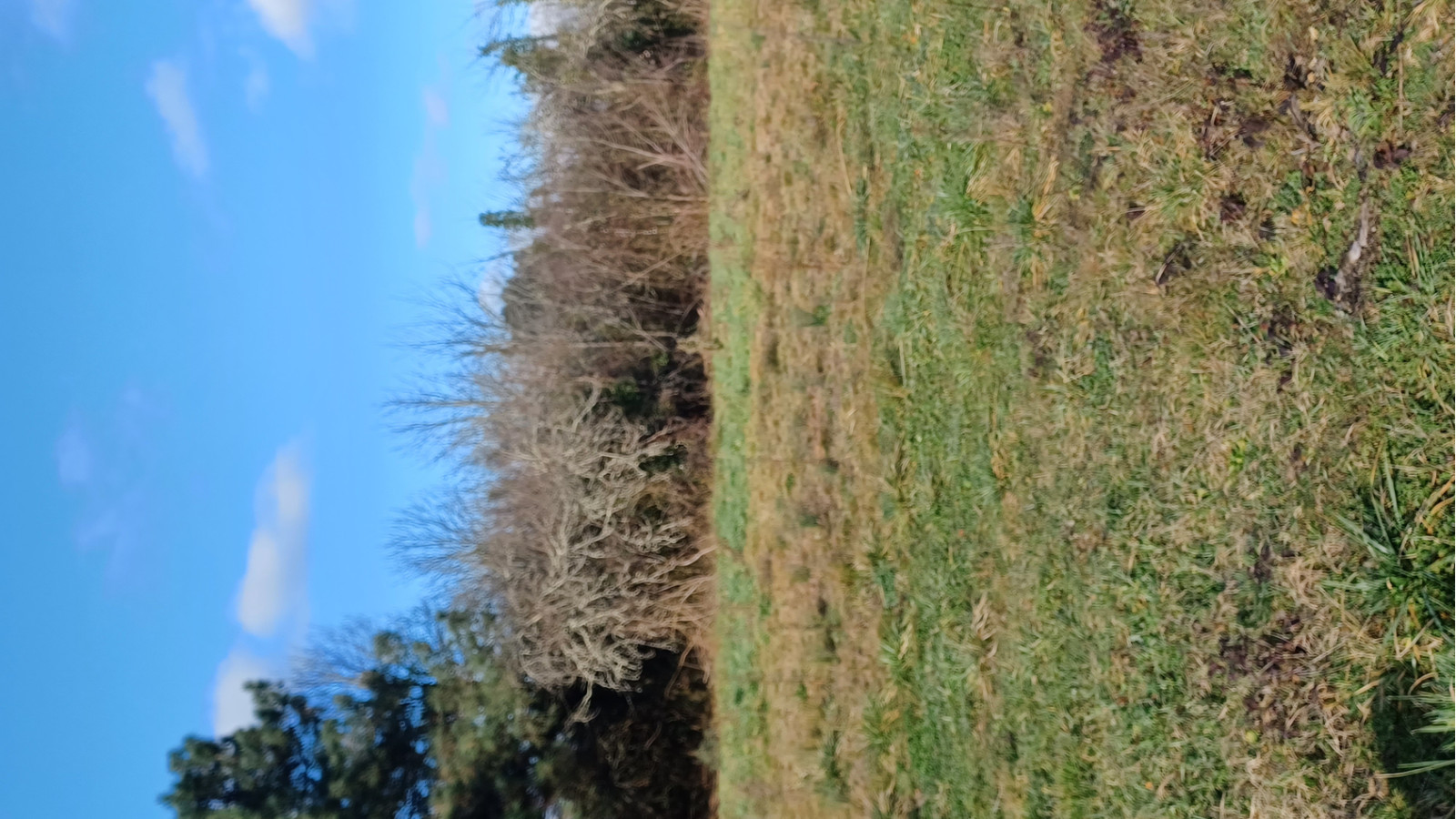 Terrain constructible de 752m2 à Baigneaux