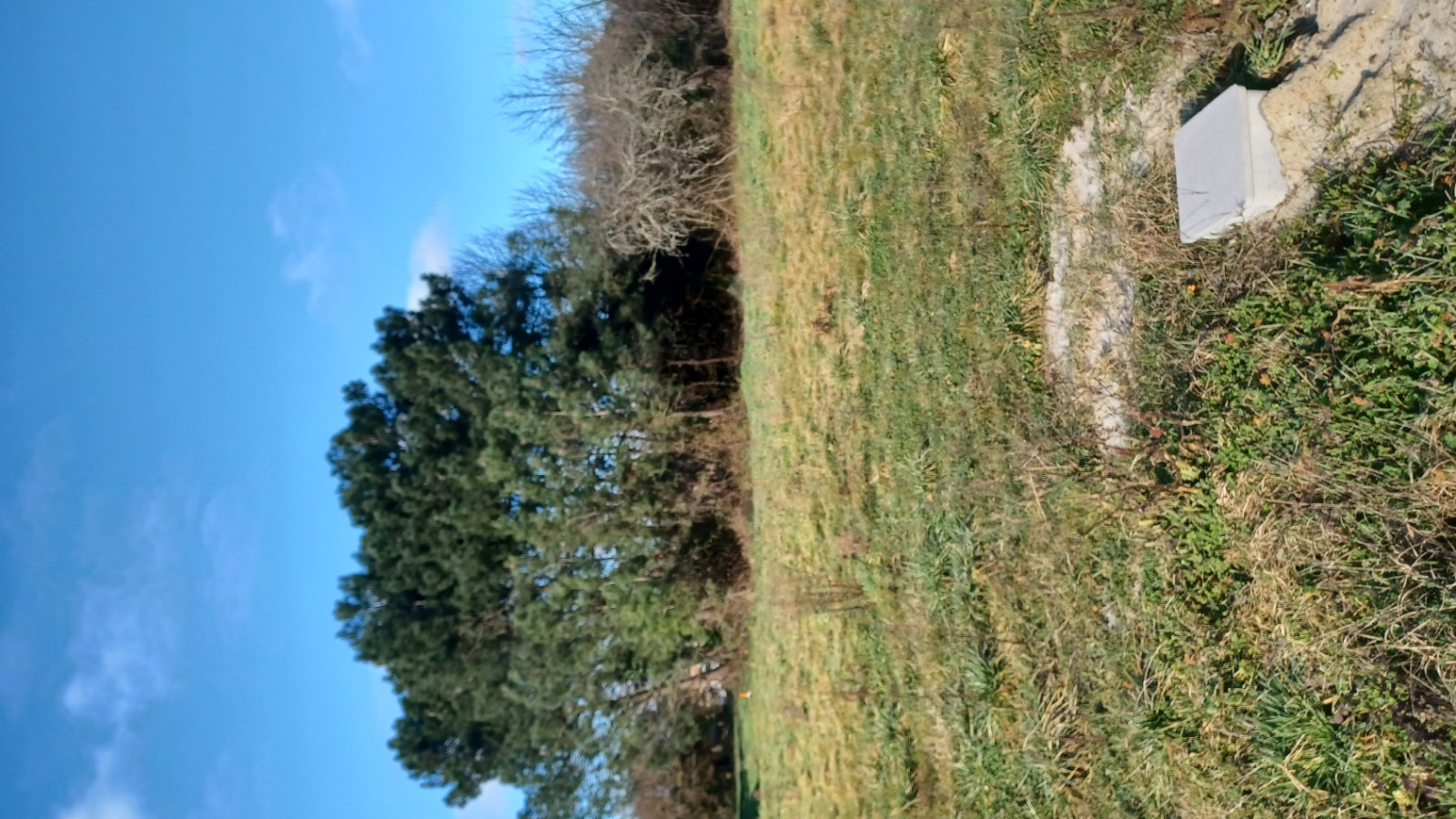 Terrain constructible de 603m2 à Vayres