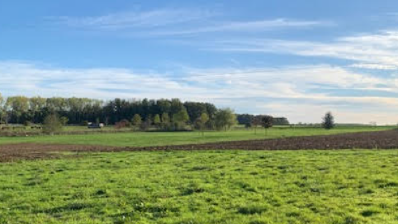 Terrain constructible de 1706m2 à Meursanges