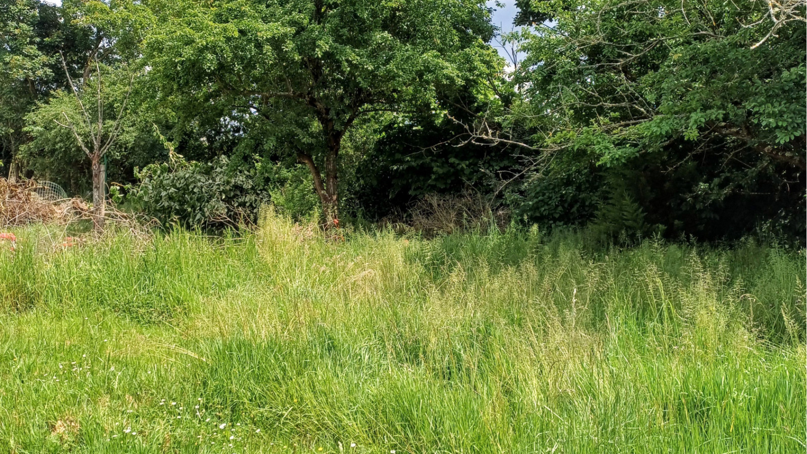 Terrain constructible de 750m2 à Mûrs-Erigné