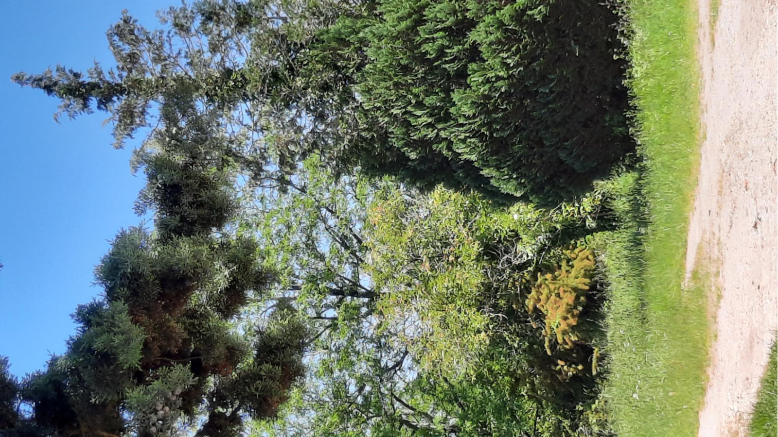 Terrain constructible de 412m2 à Les Billaux