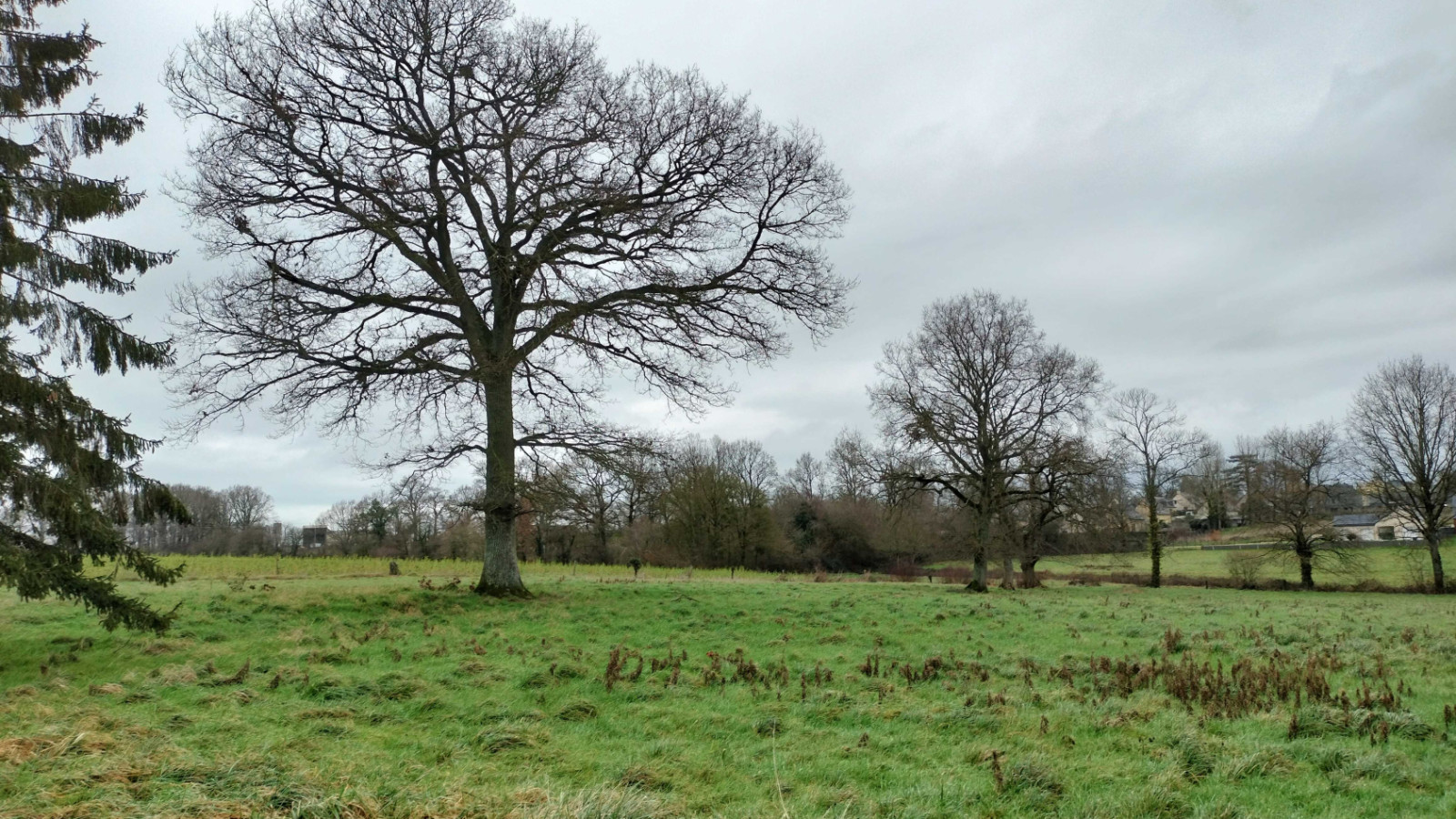 Terrain constructible de 260m2 à Saint-Thurial