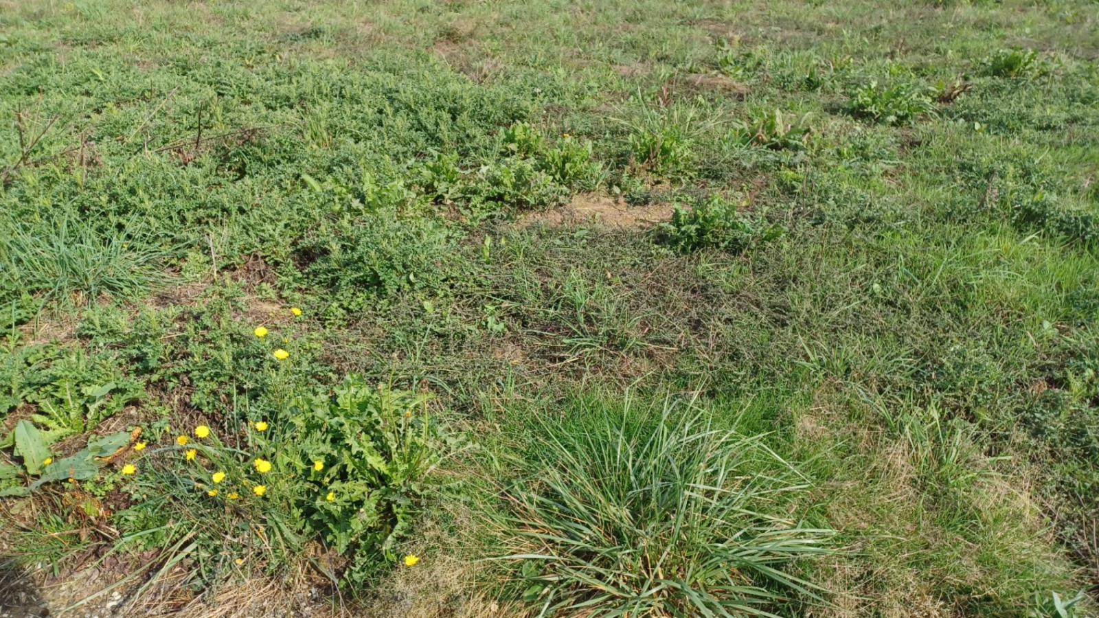 Terrain constructible de 480m2 à La Noë-Blanche