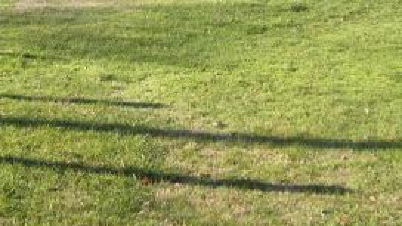 Terrain constructible de 496m2 à Rochecorbon