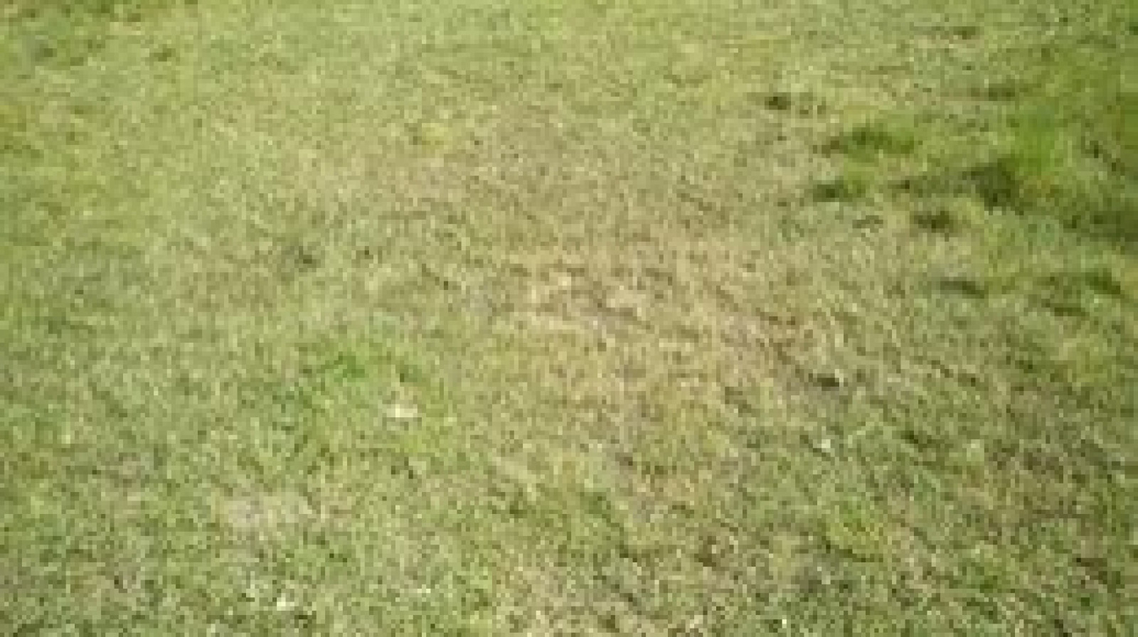 Terrain constructible de 590m2 à Mettray