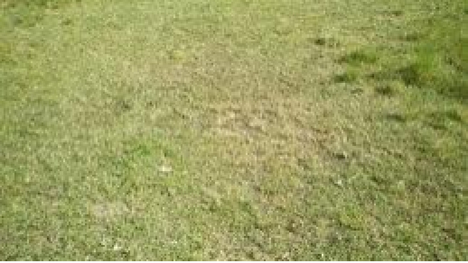 Terrain constructible de 590m2 à Mettray