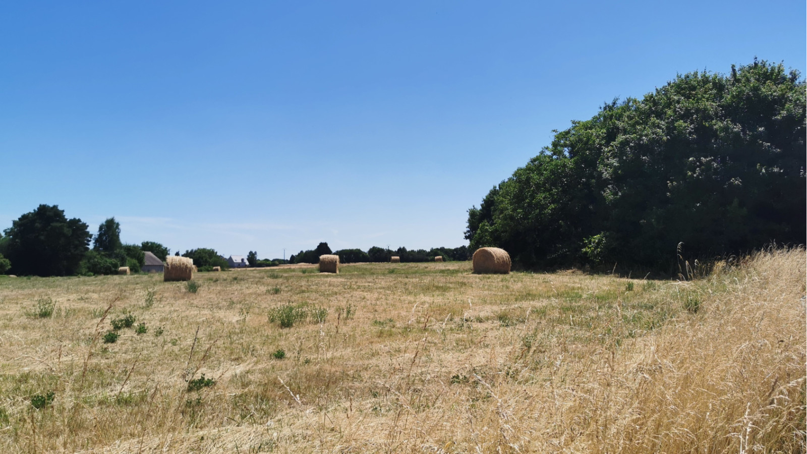 Terrain constructible de 603m2 à Beaumont-Louestault
