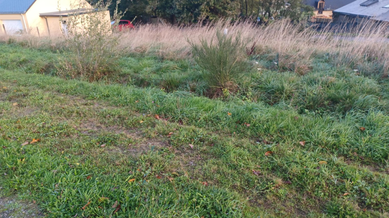 Terrain constructible de 410m2 à Cardroc
