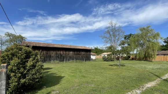 TERRAIN DIFFUS 2.png