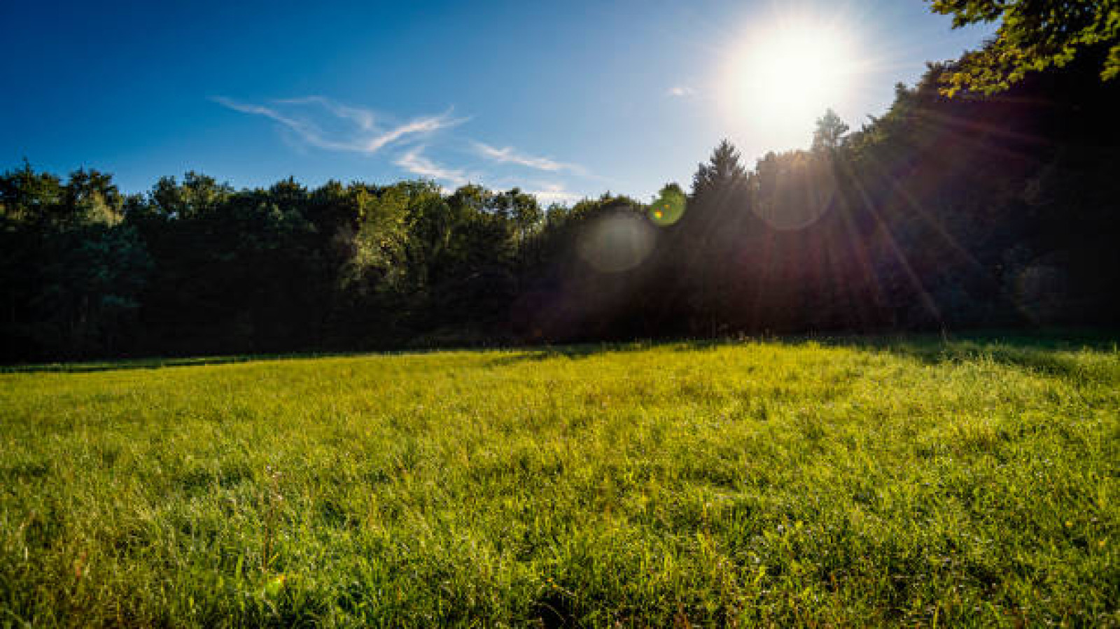 Terrain constructible de 570m2 à Montlouis-sur-Loire