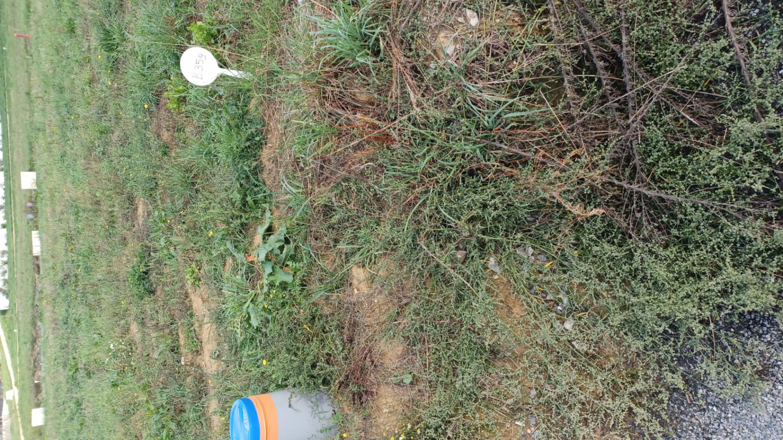 Terrain constructible de 316m2 à Romillé