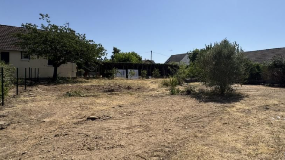 bois seme olivet.png