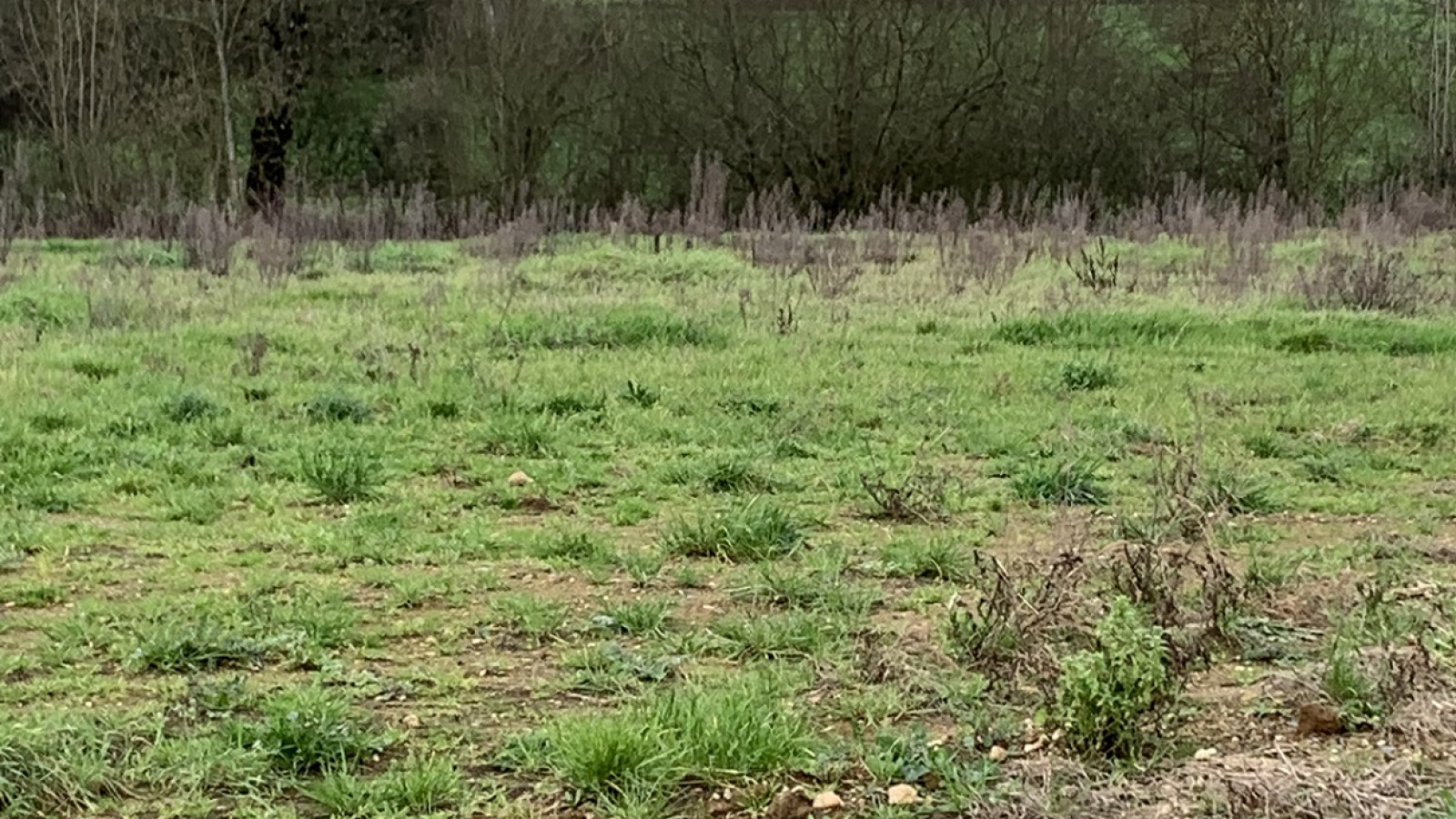 Terrain constructible de 801m2 à Bourg