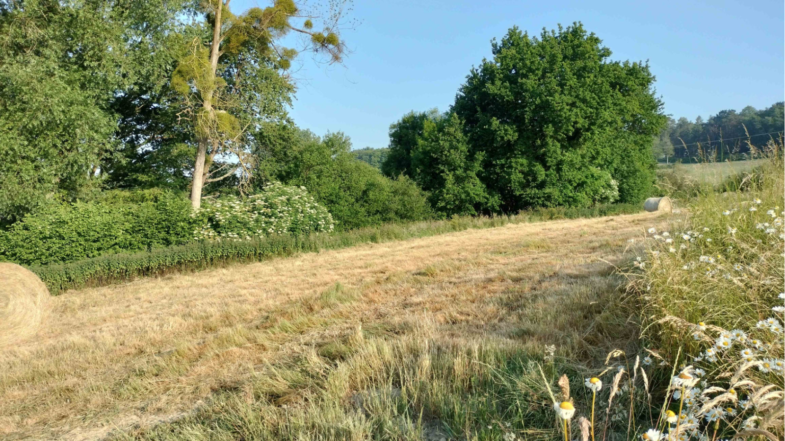 Terrain constructible de 300m2 à Guignen