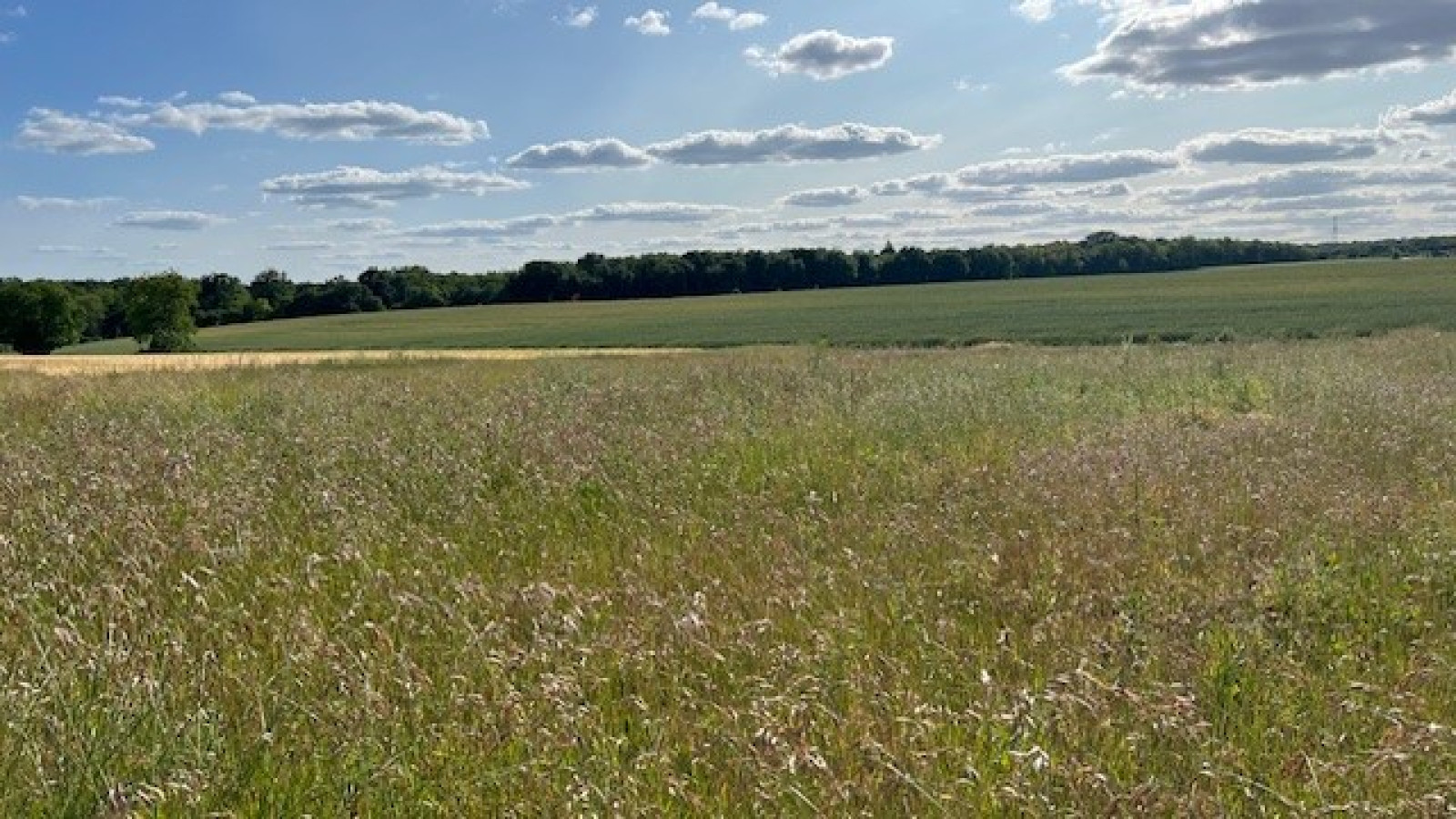 Terrain constructible de 1268m2 à Rouziers-de-Touraine