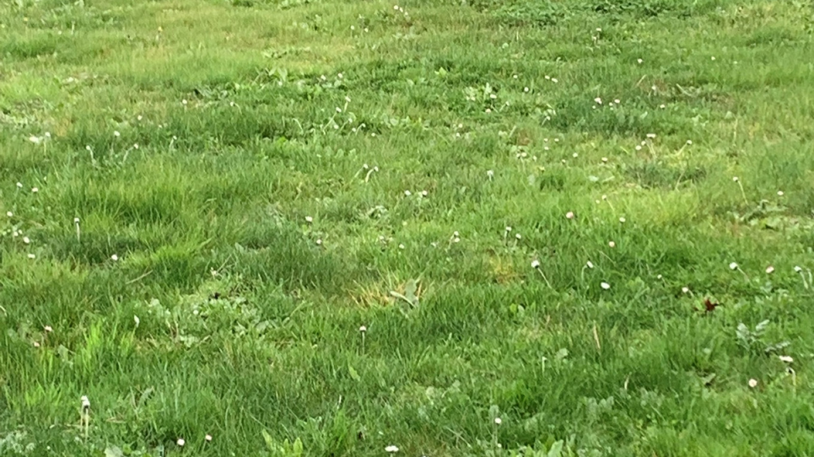 Terrain constructible de 480m2 à Mérignac