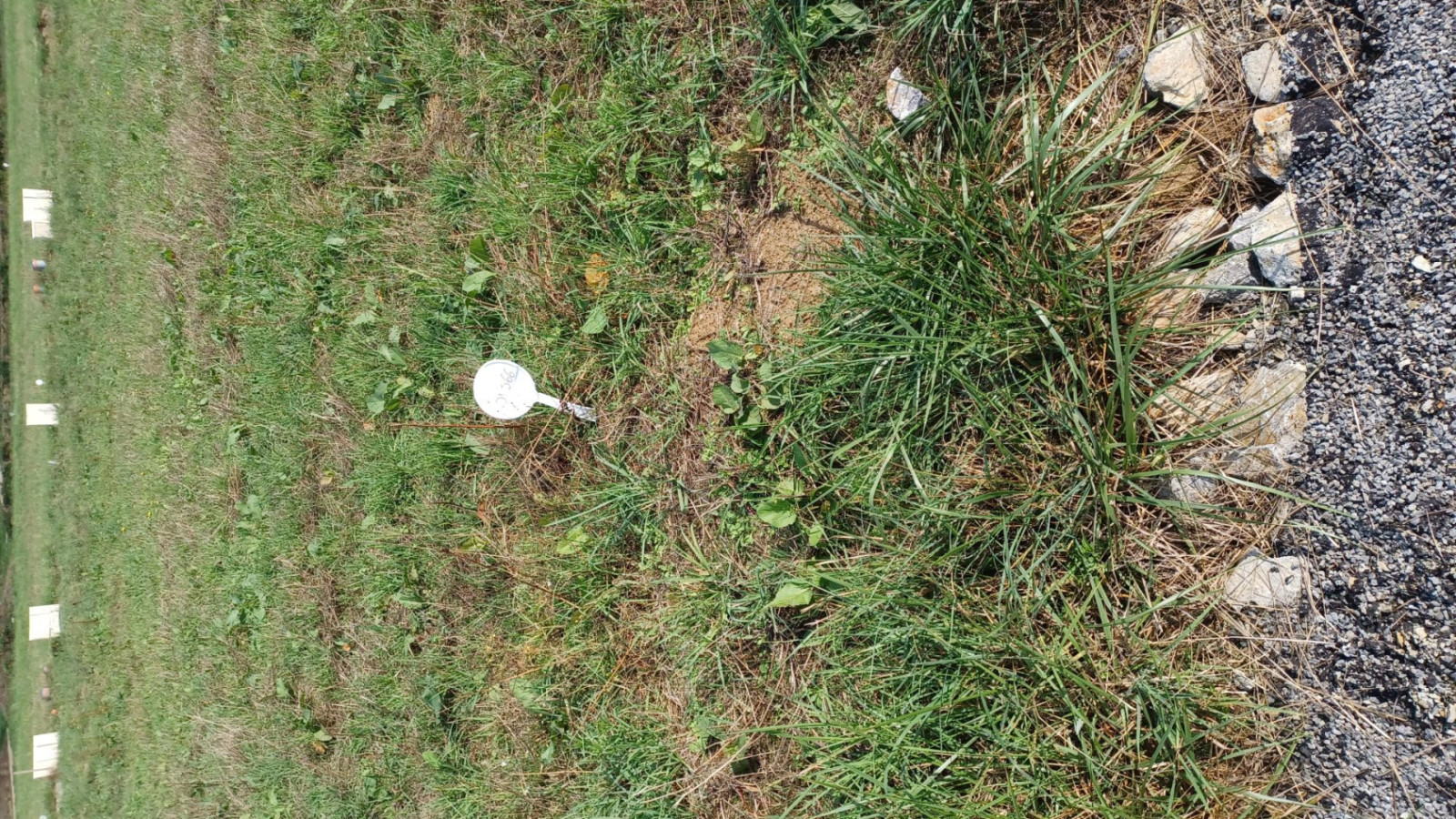 Terrain constructible de 345m2 à La Chapelle-Chaussée