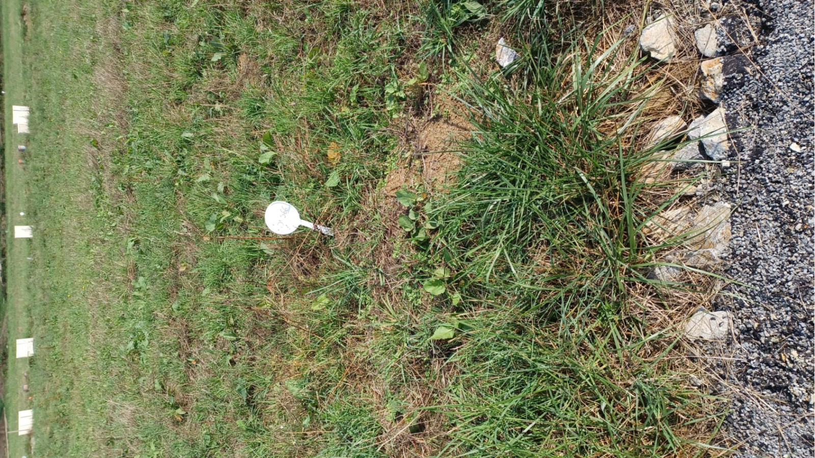 Terrain constructible de 345m2 à La Chapelle-Chaussée