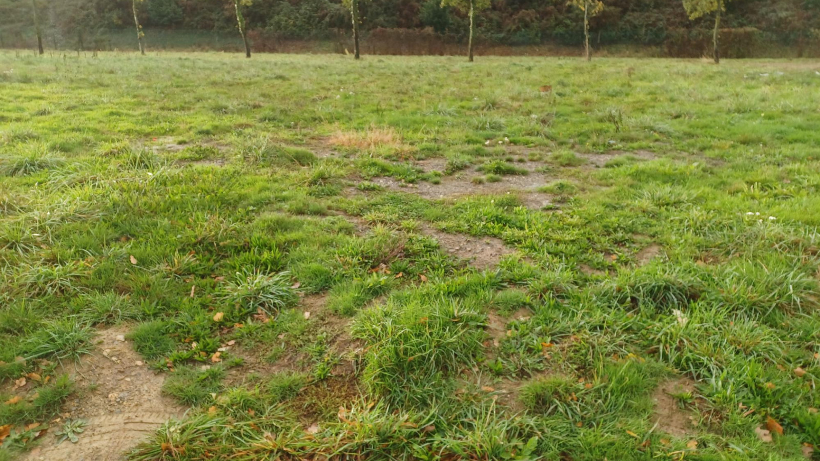 Terrain constructible de 370m2 à Tinténiac