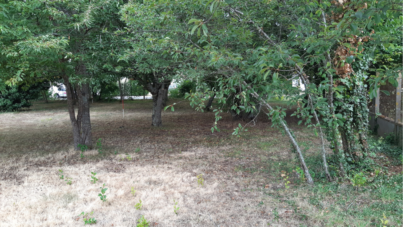 Terrain constructible de 652m2 à Olivet