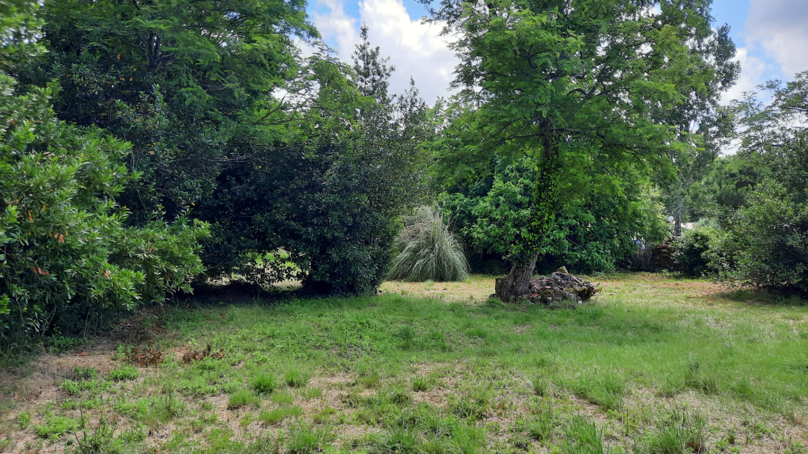 Terrain constructible de 925m2 à Le Tuzan