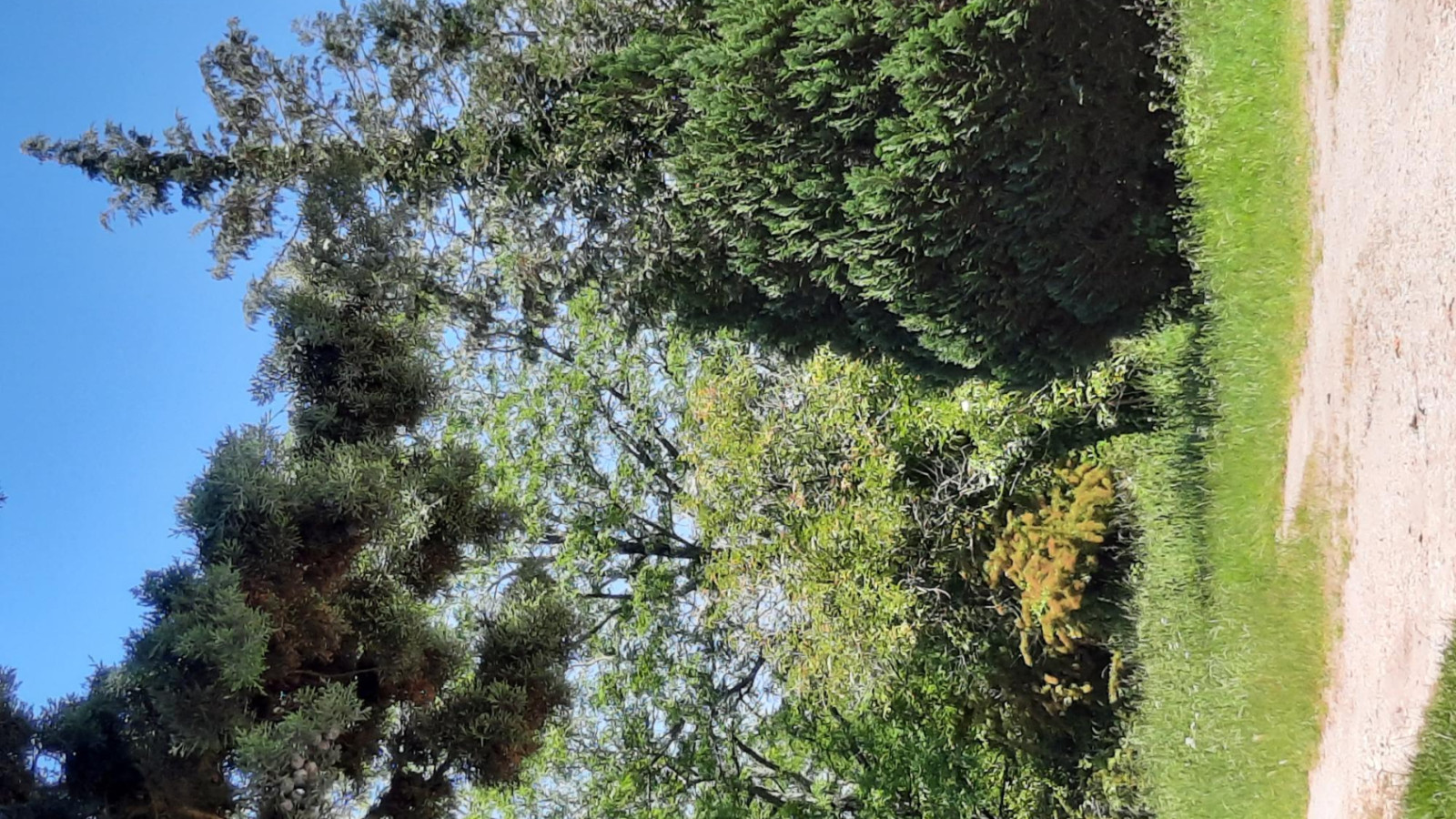 Terrain constructible de 504m2 à Martillac