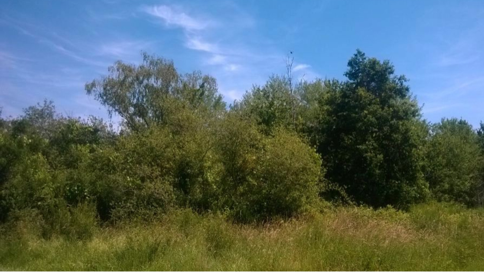 Terrain constructible de 1110m2 à Dhuizon