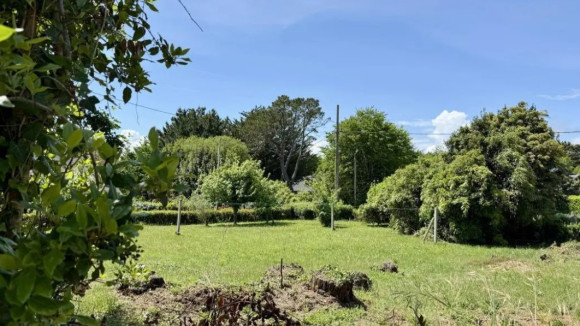 Capture d’écran 2025-07-20 080741.jpg