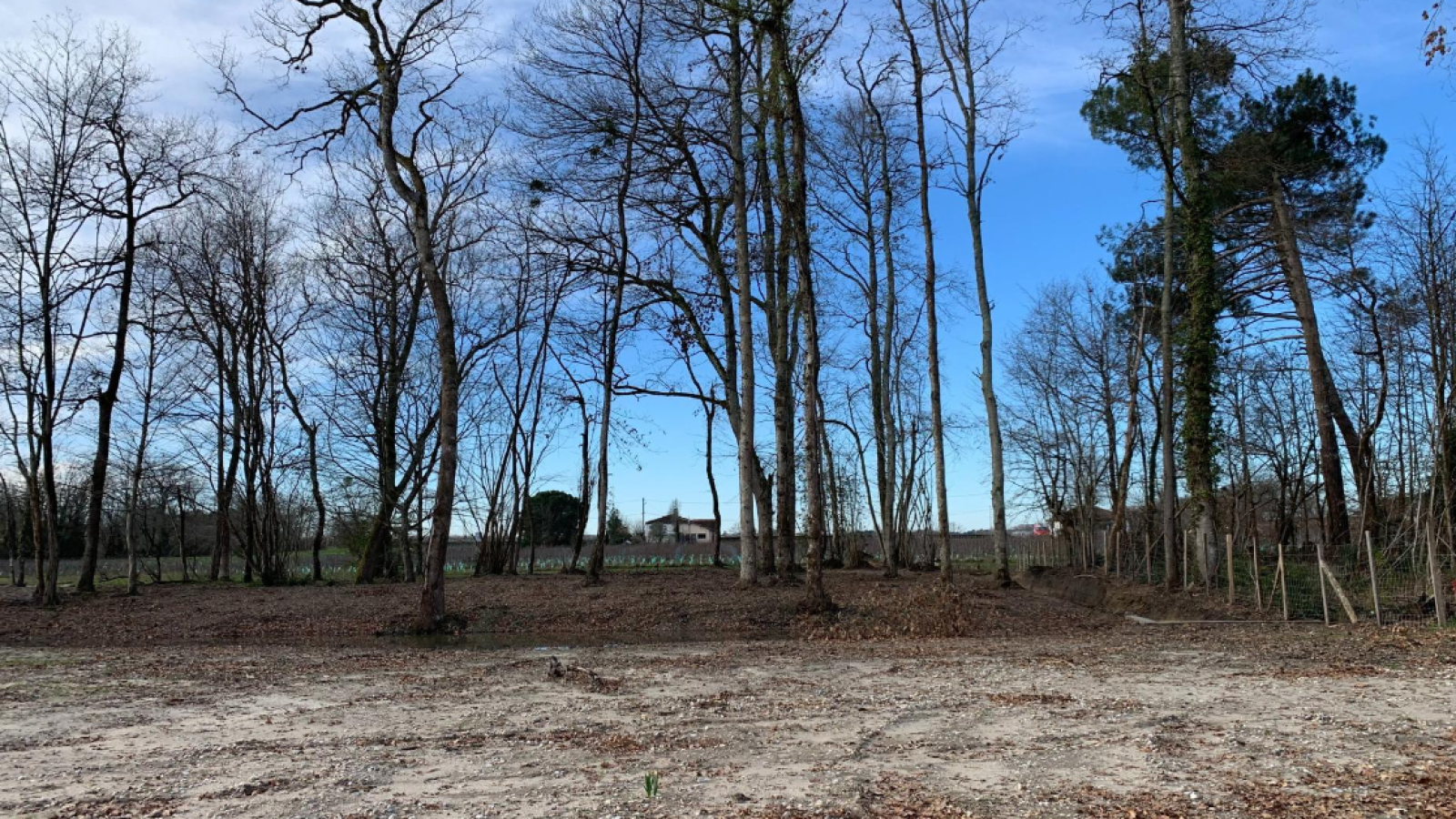 Terrain constructible de 1318m2 à Marcheprime