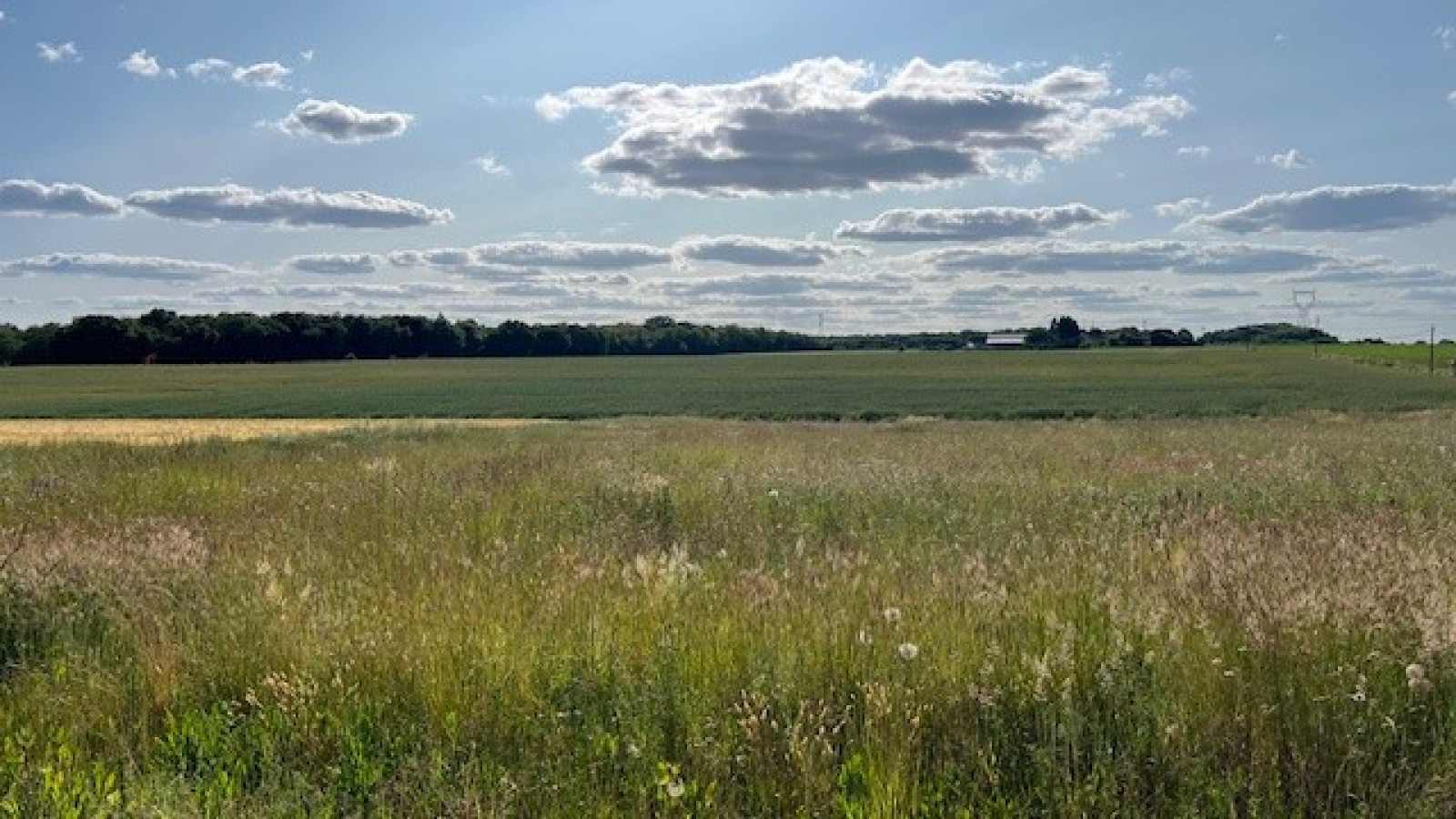 Terrain constructible de 1345m2 à Mettray