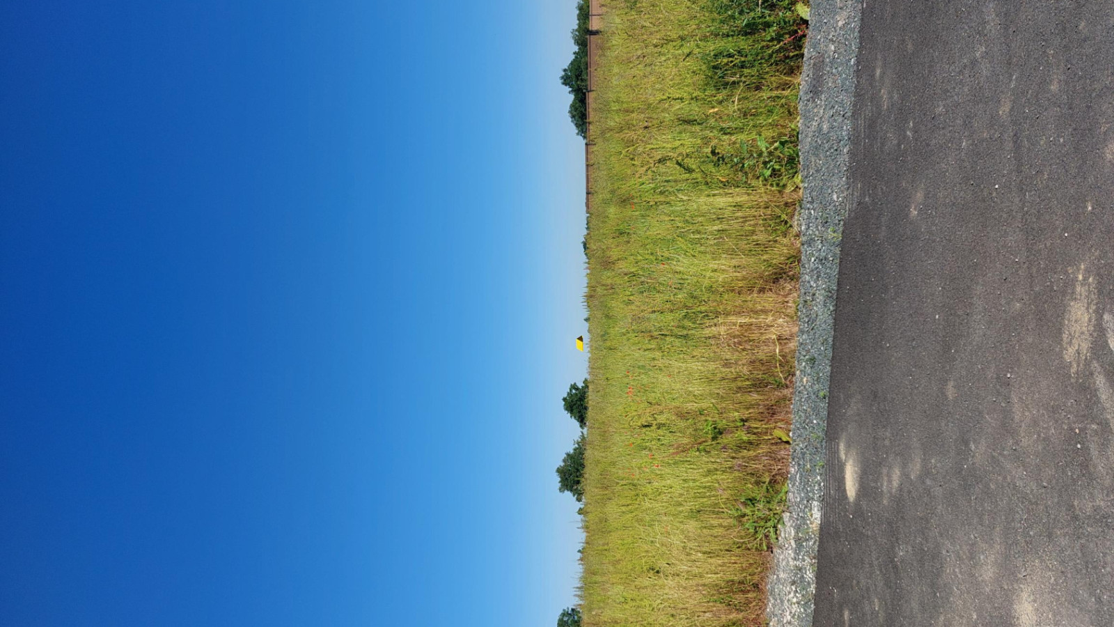 Terrain constructible de 495m2 à Marcé