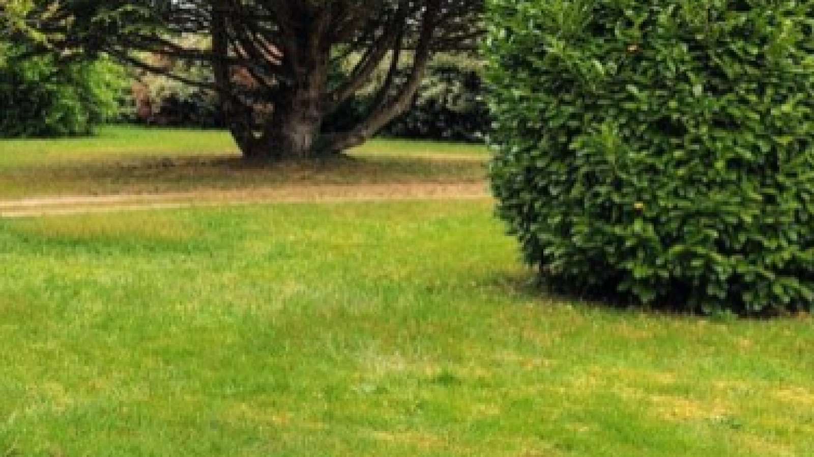 Terrain constructible de 350m2 à Castelnau-de-Médoc