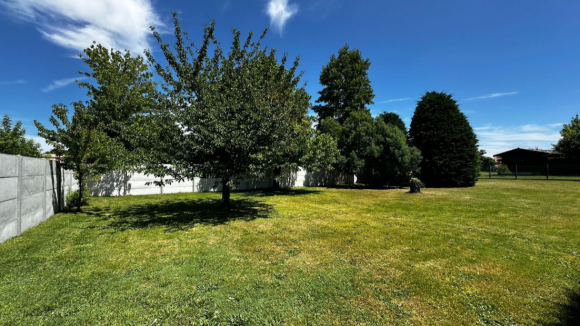 TERRAIN MARCHEPRIME.png